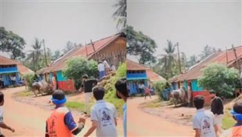 فيديو.. ثور غاضب يطيح بنائب هندي في مهرجان شعبي