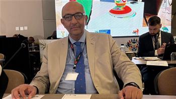 مصر تشارك في اجتماعات مجموعة العمل الثقافية لمجموعة العشرين G20 في ديربن