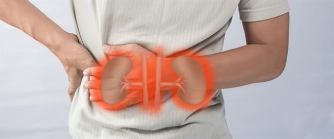 6  علامات تدل على وجود مشاكل في الكلى