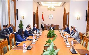 وزير الخارجية يشدد على أهمية تعزيز الدور المصري في العمل الإفريقي والمحافل الإقليمية والقارية