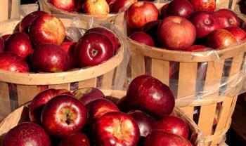 لإزالة الشمع والمواد الكيميائية من التفاح.. اتبعي تلك الحيل 