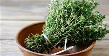 الزعتر لصحة المعدة