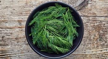 الشبت ..مفيدة لمواجهة الإكتئاب