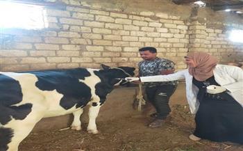 "الزراعة": تحصين أكثر من 421 ألف رأس ماشية ضد الحمى القلاعية والوادي المتصدع 