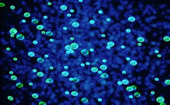 اكتشاف كائنات تتنفس الحديد بدلا من الأكسجين