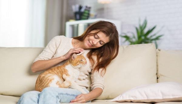 يوم الحيوان العالمي.. كيف تمنحك تربيتهم راحة نفسية وسط ضغوط العمل؟
