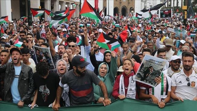 إيطاليا تشهد احتجاجات واسعة وإضرابًا عامًا رفضًا للحرب على غزة 