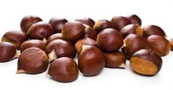 فوائد " أبو فروة " الكستناء للصحة