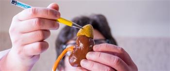 كيف تواجه إجهاد الغدة الكظرية ... تناول الآتى