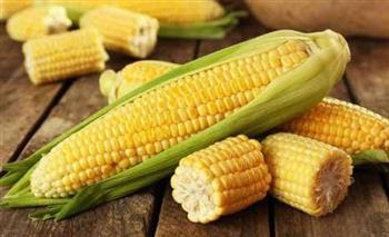 ليست للتسلية فقط.. فوائد مذهلة للذرة تجعلها طعامًا مثاليًا لصحة المرأة