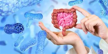 ما هو الميكروبيوم المعوي ؟