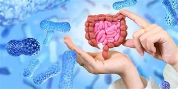 ما هو الميكروبيوم المعوي ؟