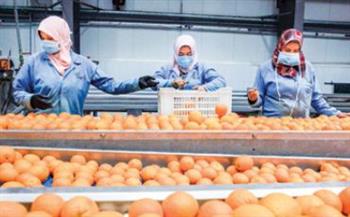 الصين تفتح ذراعيها للصادرات المصرية