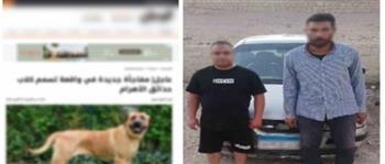 القبض على المتهمين بوضع طعام مسمم للكلاب الضالة في الجيزة