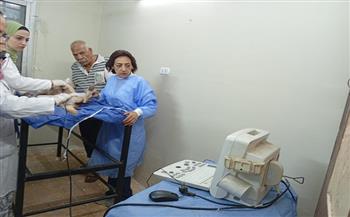 محافظة الجيزة تبدأ تنفيذ بروتوكول التعاون مع جامعة القاهرة لتطعيم وتعقيم الكلاب الحرة 