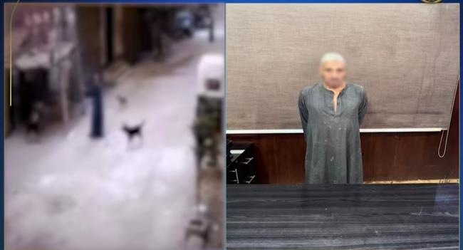 سقوط صاحب فيديو متداول للتعدى على كلب في الهرم