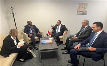 عبد العاطي يؤكد أهمية الالتزام بقرارات التنفيذي للاتحاد الأفريقي التي اعتمدت ترشيح العناني لمدير عام اليونسكو
