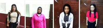 ضبط 4 سيدات لقيامهن بممارسة الأعمال المنافية للآداب بمقابل مالى بالإسكندرية  