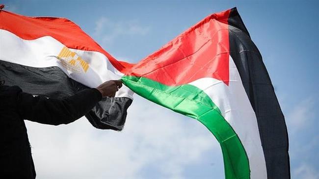 إجهاض مخططات التهجير ووقف نزيف الدماء.. مصر راعية السلام والداعم الأكبر للقضية الفلسطينية