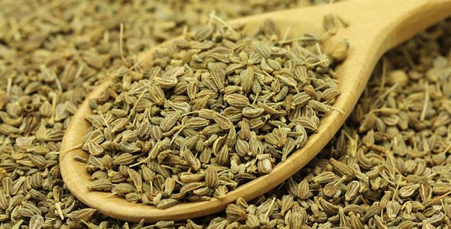 اليانسون لعلاج السعال واضطرابات الجهاز الهضمي