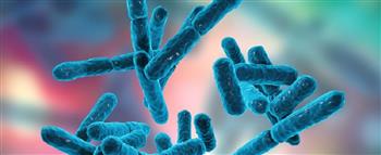 هذا ما يحدث عندما يختل التوازن البكتيري فى جسمك!