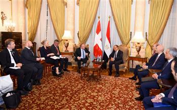 وزير الخارجية يثمن مشاركة ملكة الدنمارك في الافتتاح التاريخي للمتحف المصري الكبير