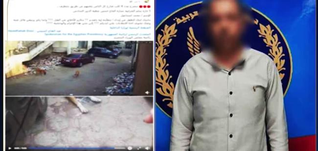 ضبط شخص يقوم بوضع طعام مسمم للكلاب الضالة في الشرابية 