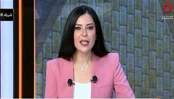 أمل الحناوي: مصر تبهر العالم من جديد بافتتاح المتحف الكبير