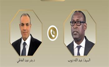 هاتفيًا.. وزير الخارجية يطالب نظيره المالي ببذل أقصى الجهود لإطلاق سراح المصريين الثلاثة المختطفين