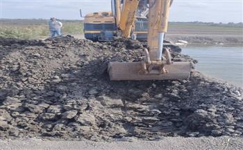 إزالة 10 مزارع سمكية مخالفة مقامة على أراضٍ زراعية بجنوب بورسعيد 