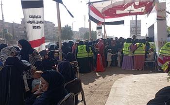 بالصور.. جانب من مشاركة السيدات في انتخابات النواب 2025 بمحافظتي أسيوط وأسوان