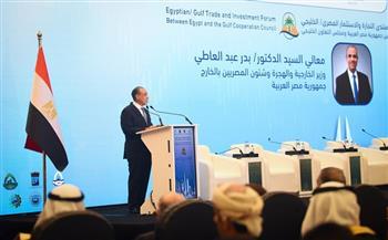 وزير الخارجية: العلاقات المصرية–الخليجية لها جذور تاريخية راسخة