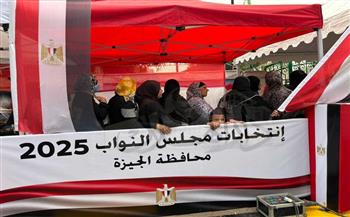 دليل كامل لانتخابات مجلس النواب 2025 المرحلة الأولى.. كيفية التصويت الصحيح ومتى يصبح الصوت باطلًا؟