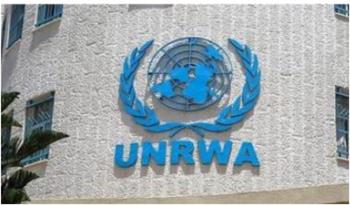 فيلمنج: تم إعادة صفوف أونروا لتقديم خدماتها وبناء مراكز تعليمية في غزة