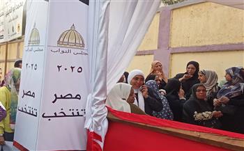 العرس الديمقراطي في أبهى صوره.. المصريون يصنعون مشهدًا انتخابيًا واعيًا وانتظام اللجان في البحيرة