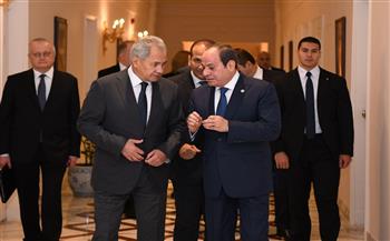 الرئيس السيسي يبحث مع أمين مجلس الأمن الروسي عددًا من القضايا الإقليمية والدولية