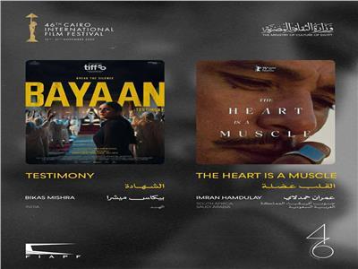 مهرجان القاهرة يعلن القائمة النهائية لأفلام البانوراما الدولية في دورته الـ46