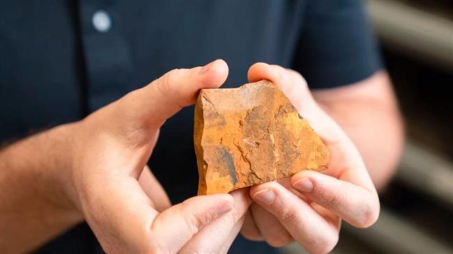 اكتشاف أحفورة ذبابة عمرها 151 مليون سنة