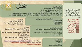 برواتب تصل لـ45 ألف جنيه.. «العمل» تعلن عن 4500 فرصة عمل جديدة بمشروع الضبعة النووي 