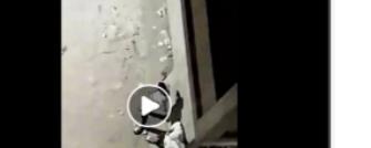 سقوط 3 عاطلين يروجون المخدرات في القليوبية