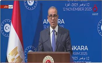 وزير الخارجية: مصر ستمنح تركيا مستنسخ لتمثال الملك أمنحوتب السادس أحد الفراعنة العظام