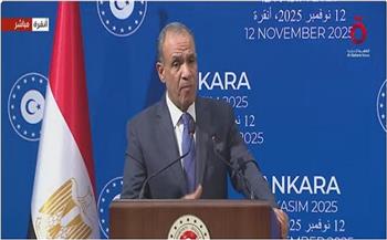 وزير الخارجية: مصر ترفض أي محاولات لتقسيم السودان