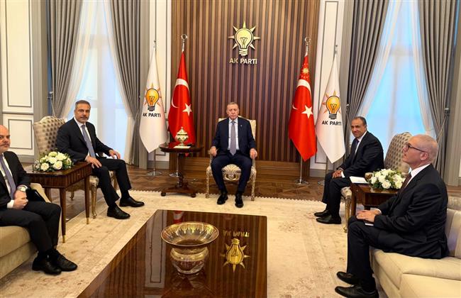 وزير الخارجية يلتقى الرئيس التركي ويسلمه رسالة خطية من الرئيس السيسي