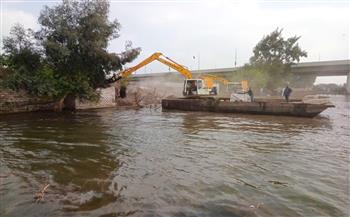 تكثيف جهود إزالة التعديات على أراضي طرح نهر النيل بمحافظتي المنوفية والبحيرة 