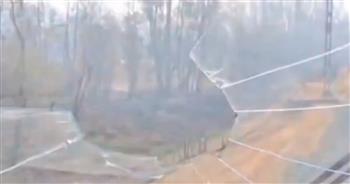 فيديو.. حادث غريب بين قطار ونسر طائر ينتهي بإصابة السائق