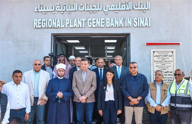 رانيا المشاط: توجيهات القيادة السياسية بضرورة تحقيق التنمية المتكاملة بشبه جزيرة سيناء  