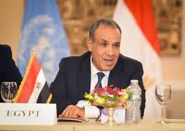 عبد العاطي يوضح محددات السياسة المصرية خلال لقاء لجنة العلاقات الخارجية بمجلس الشيوخ 