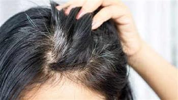 من الشيب الي التساقط... كيف تؤثر نقص العناصر الغذائية علي صحة شعرك؟