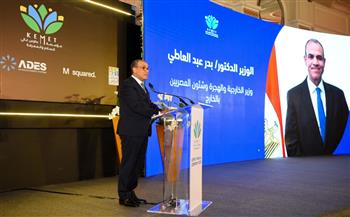 وزير الخارجية: صلابة الدولة ورؤية القيادة ووعي الشعب أسهم في استقرار الوطن 