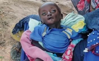 رسميًا.. مجلس حقوق الإنسان الأممي يعلن وجود مجاعة في الفاشر وكادوقلي